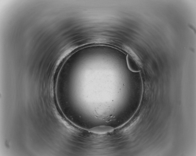 X0000096220939200801251053