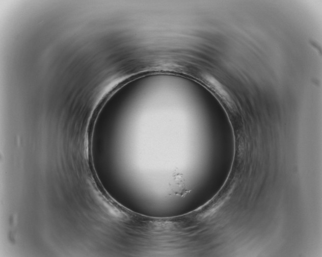 X0000096220940200801251053