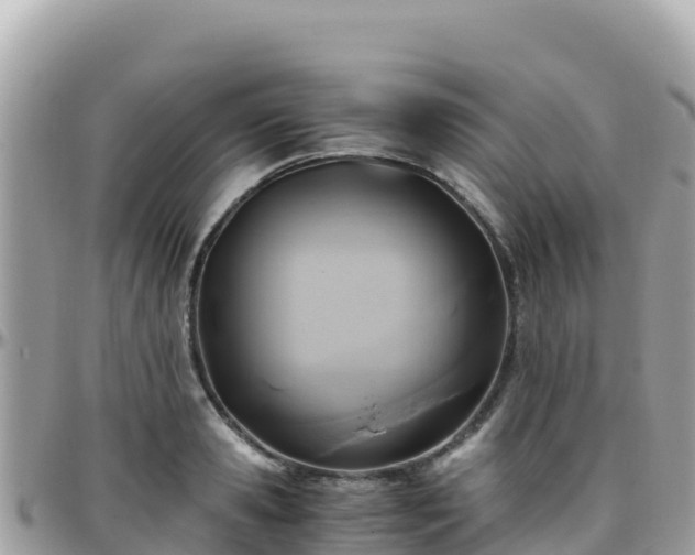 X0000096220941200801251053