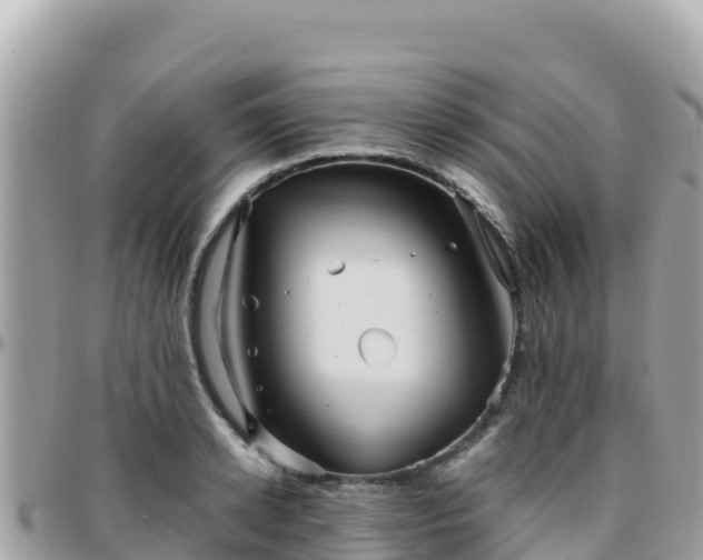 X0000096220942200801251053