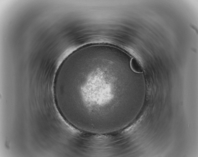 X0000096220943200801251054