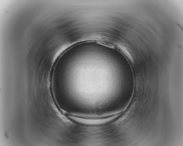 X0000096220944200801251054