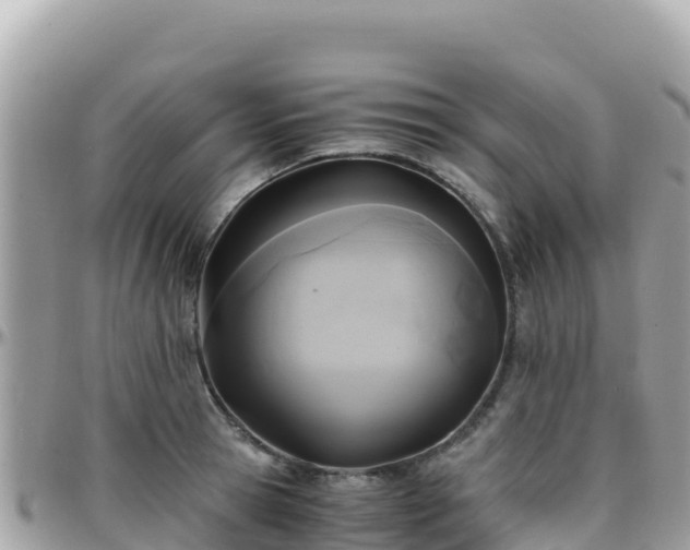 X0000096220945200801251054