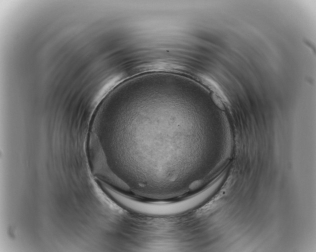 X0000096220946200801251054