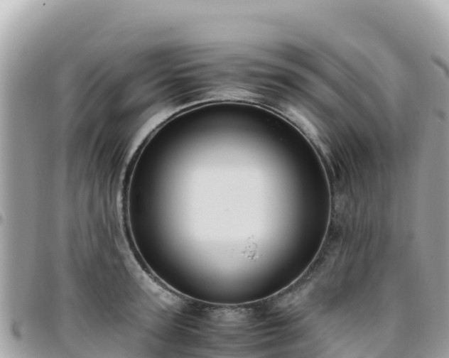 X0000096220947200801251054