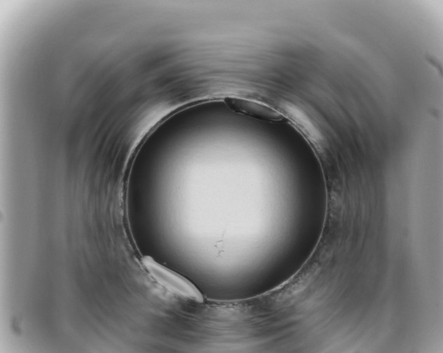 X0000096220948200801251054