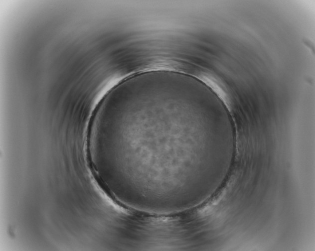 X0000096220949200801251054