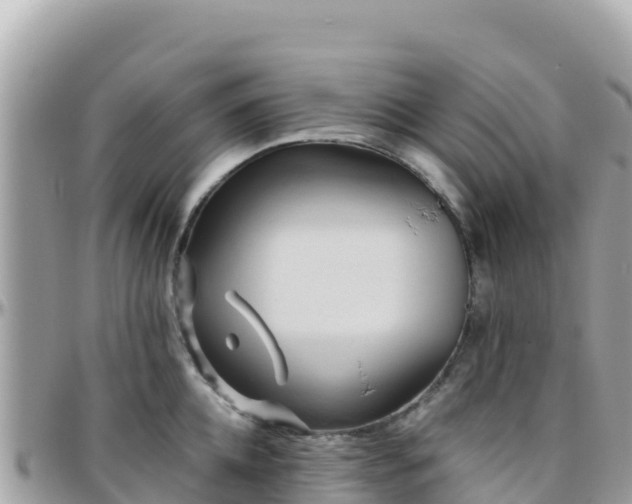 X0000096220952200801251054