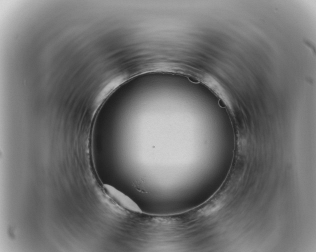 X0000096220954200801251054