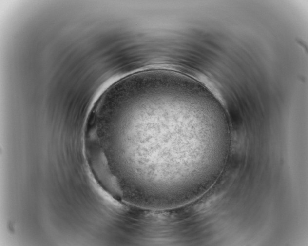 X0000096220955200801251054