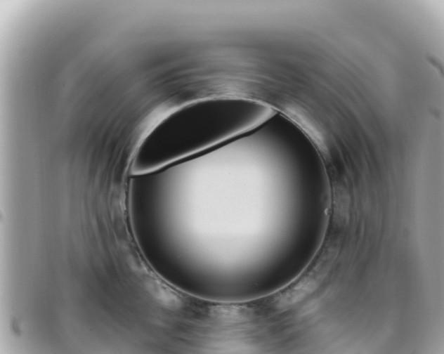 X0000096220956200801251054