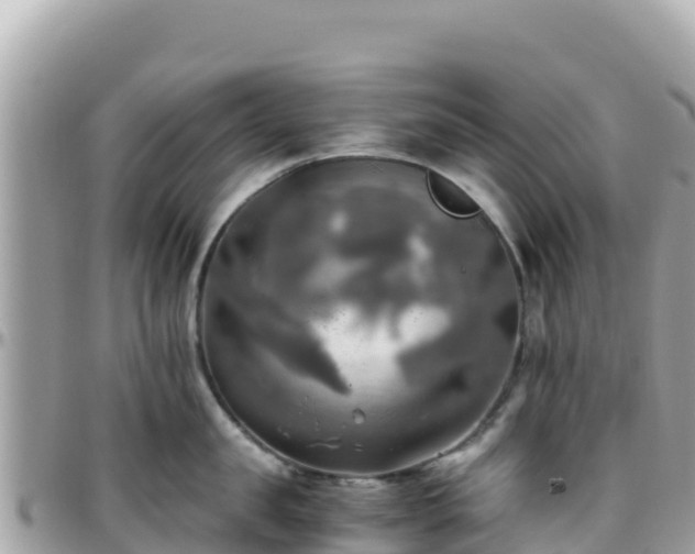 X0000096220957200801251054