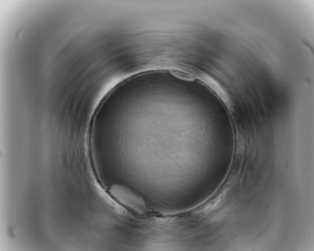 X0000096220958200801251054