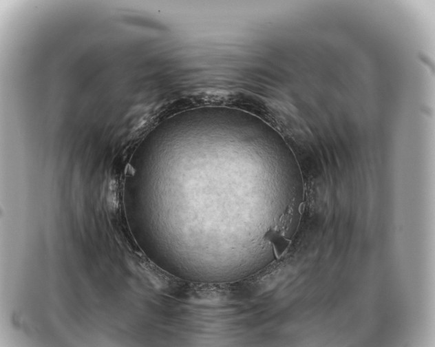 X0000096220962200801251053