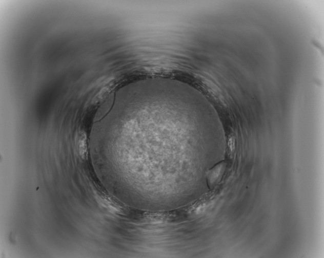 X0000096220963200801251053