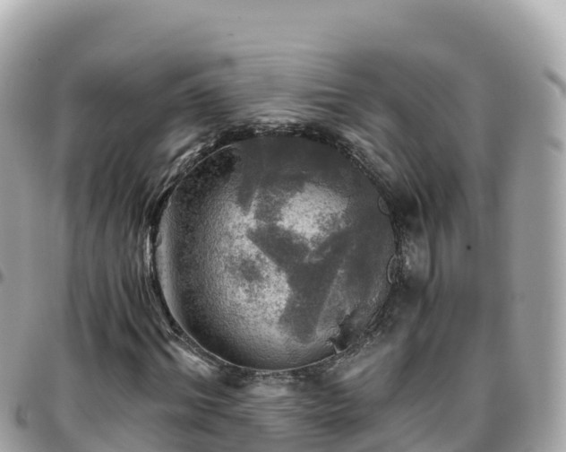 X0000096220964200801251053