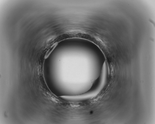 X0000096220965200801251053