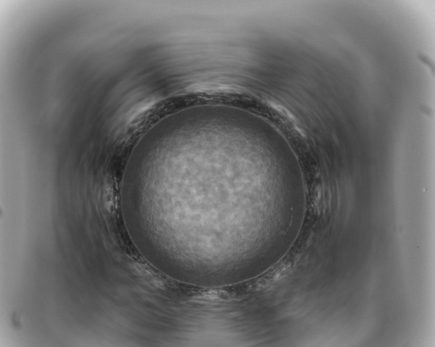 X0000096220966200801251053