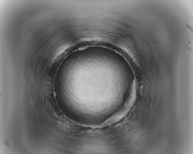 X0000096220967200801251053