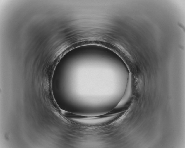 X0000096220969200801251053