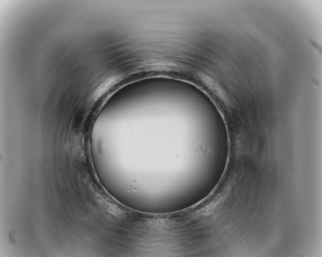 X0000096220970200801251053