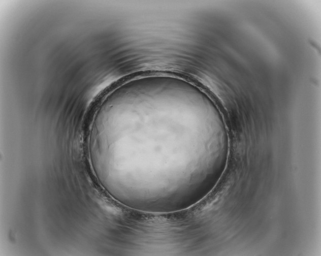 X0000096220971200801251053