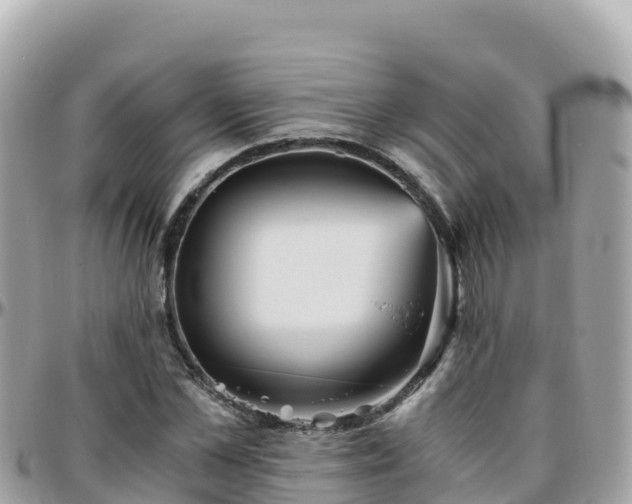 X0000096220973200801251053