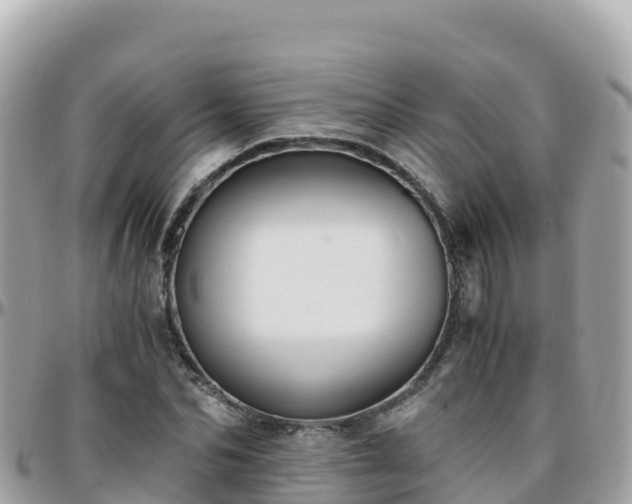 X0000096220974200801251053