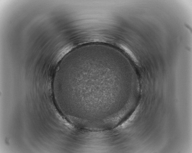 X0000096220977200801251053