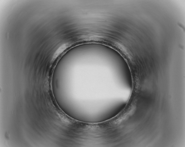 X0000096220978200801251053