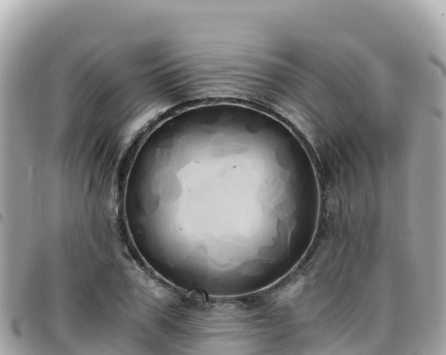 X0000096220979200801251053