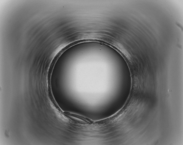 X0000096220980200801251053