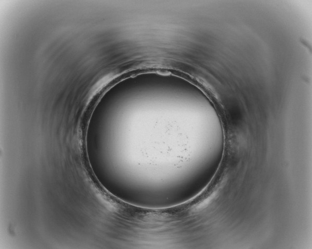 X0000096220981200801251053