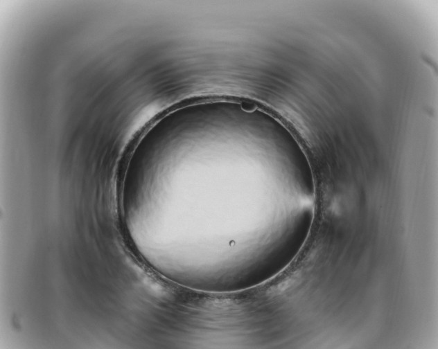 X0000096220982200801251053