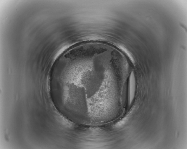 X0000096220983200801251053