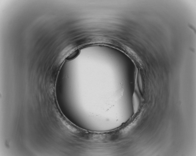 X0000096220985200801251053