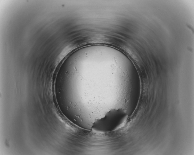 X0000096220986200801251053