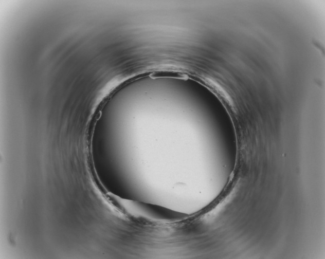 X0000096220989200801251053