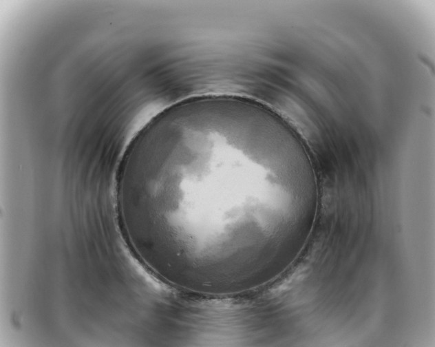 X0000096220990200801251053