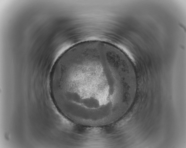 X0000096220991200801251053