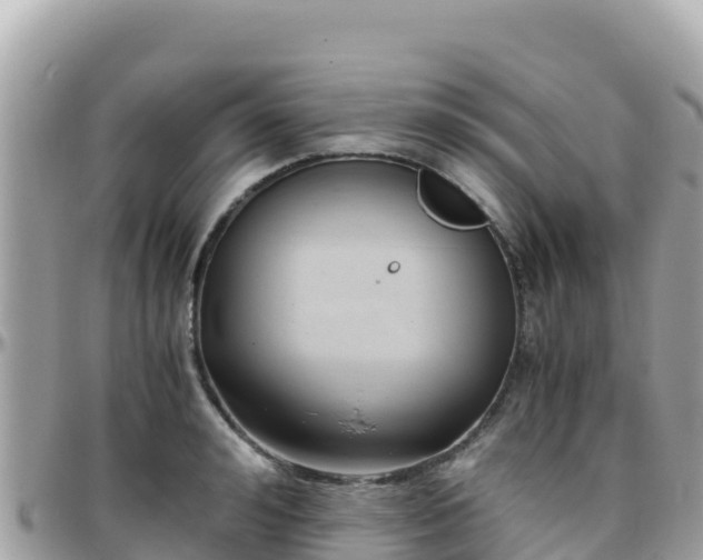 X0000096220992200801251053