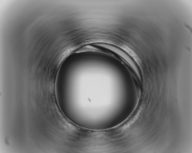 X0000096220993200801251053