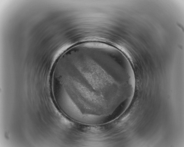 X0000096220995200801251053