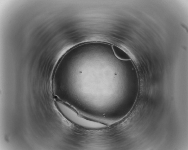 X0000096220996200801251053