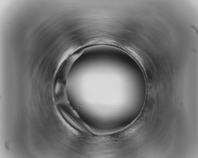 X0000096220997200801251053