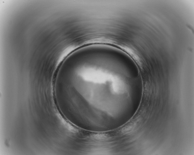 X0000096220998200801251053