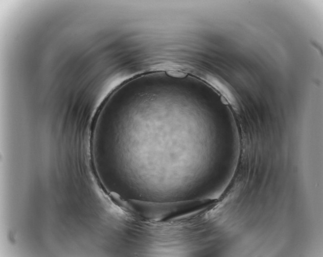 X0000096221000200801251053