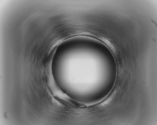 X0000096221001200801251053