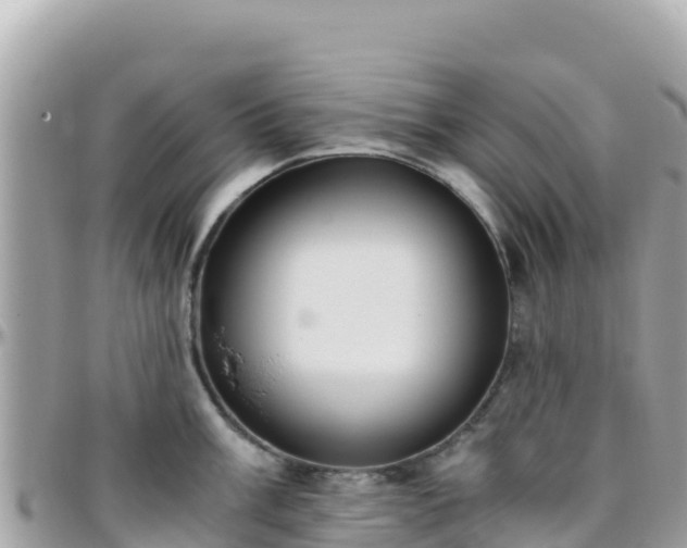 X0000096221003200801251053