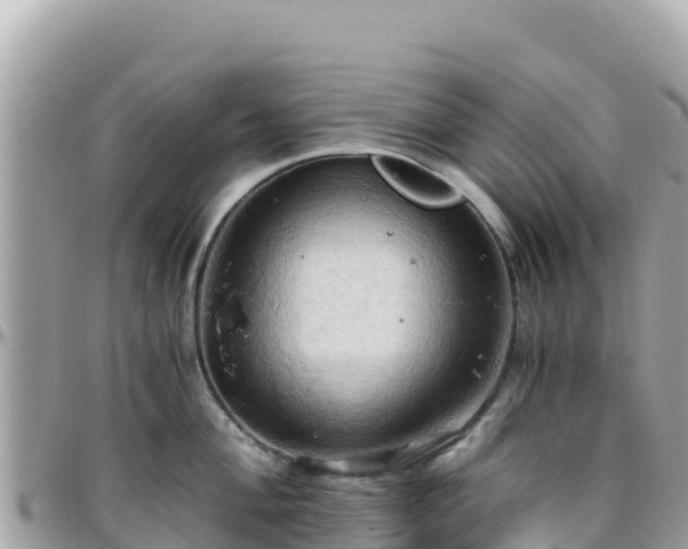 X0000096221004200801251053